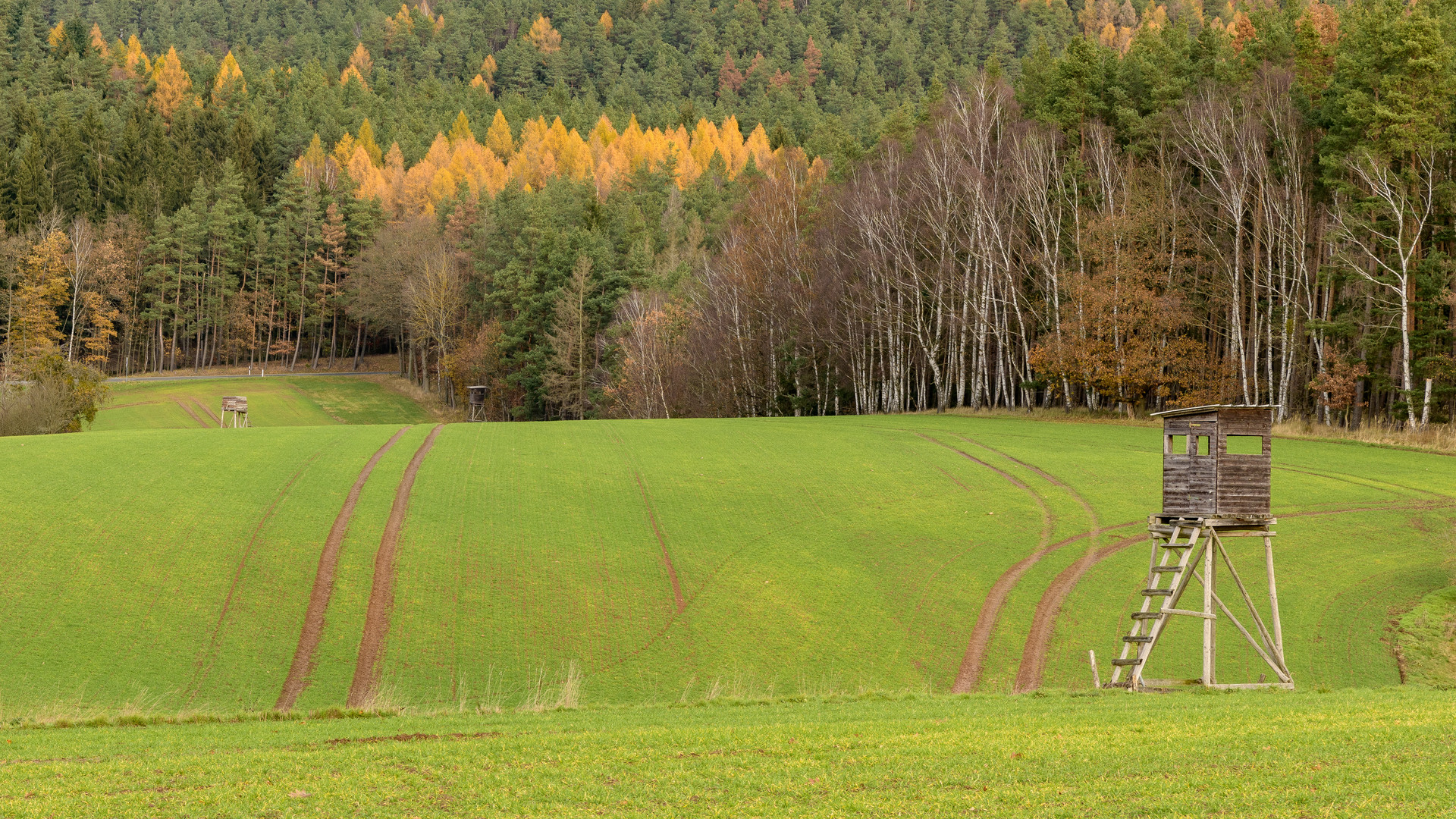 Feld bei Ruttersdorf in Thüringen