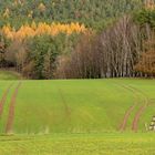 Feld bei Ruttersdorf in Thüringen