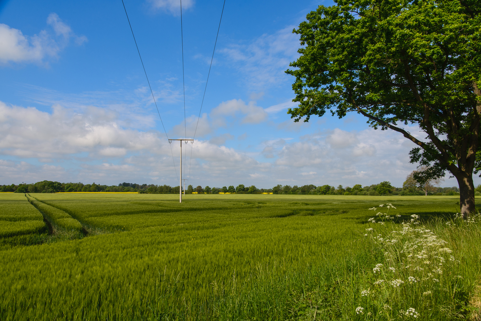 [ Feld bei Schönberg ]