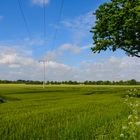 [ Feld bei Schönberg ]