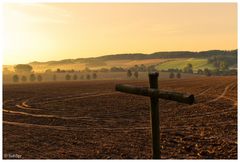 | Feld bei Schwarza (Blankenhain) |