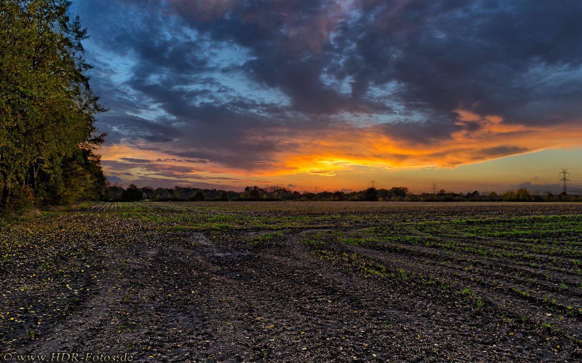 Feld bei Sonnenuntergang