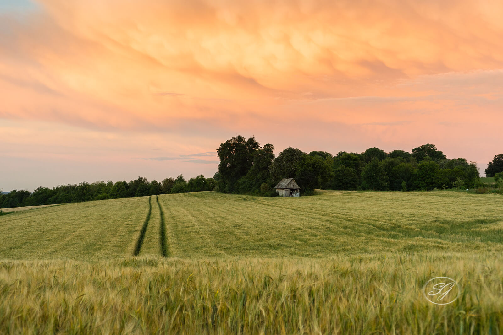 Feld bei Sonnenuntergang