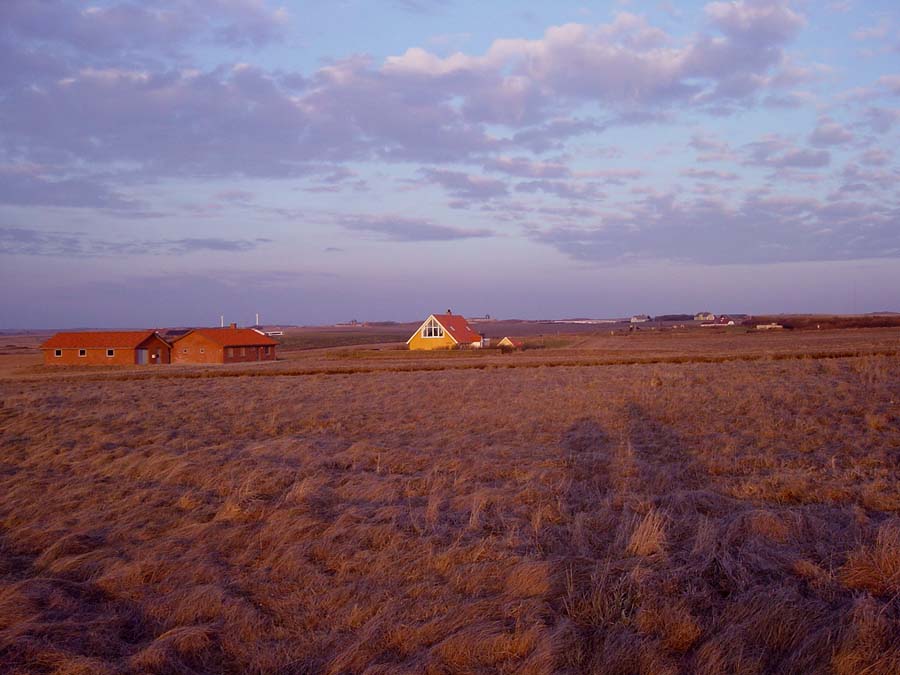 Feld bei Sonnenuntergang