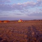 Feld bei Sonnenuntergang