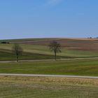 Feld bei Streitheim - Pseudo Panorama