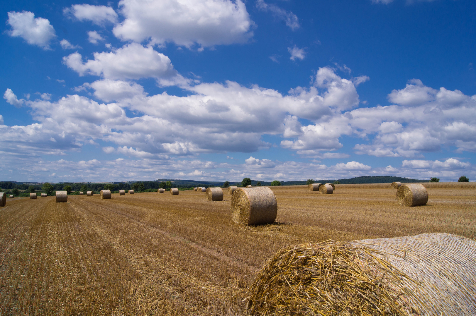 Feld bei Vianden (Lux)