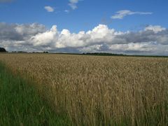 Feld bei Volkach