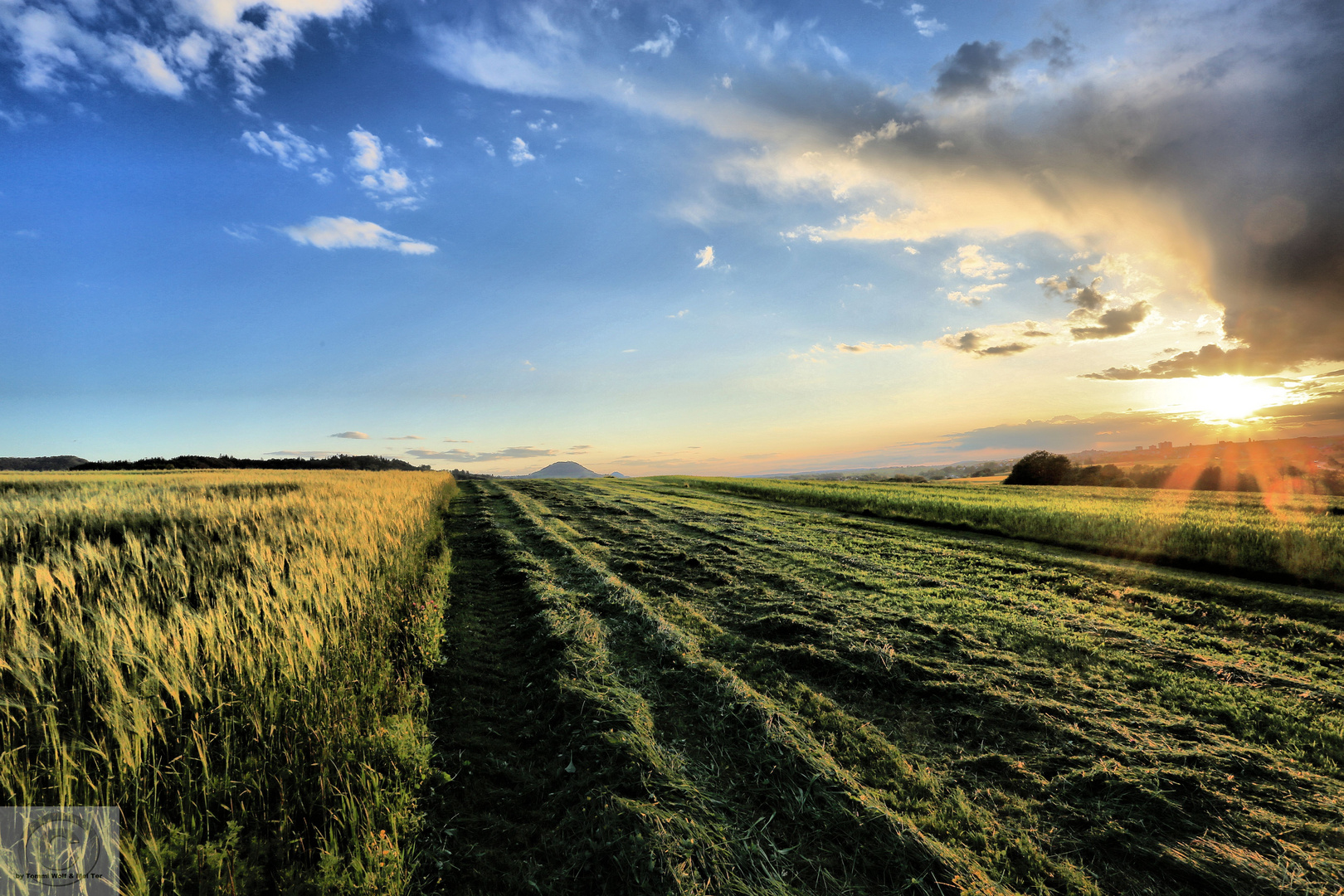 Feld bei Weiler in den Bergen