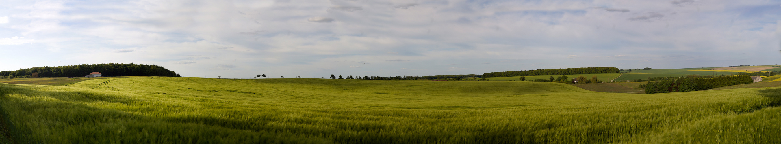 Feld bei Wiesviller - in der Nähe von Saargemünd