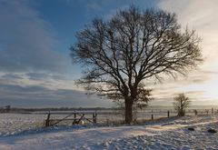 Feld bei Wilstedt