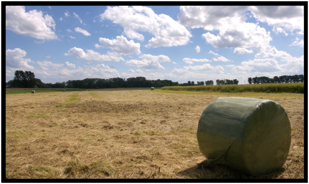 Feld bei Wustermark