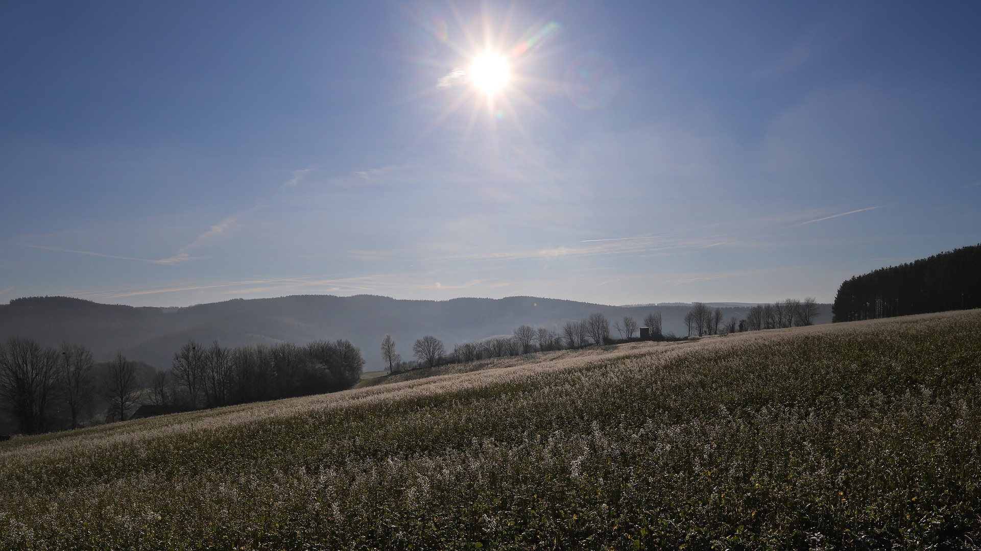 Feld beim Hof Brenge (Werdohl) (2020_01_21_8060_ji)