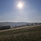 Feld beim Hof Brenge (Werdohl) (2020_01_21_8060_ji)