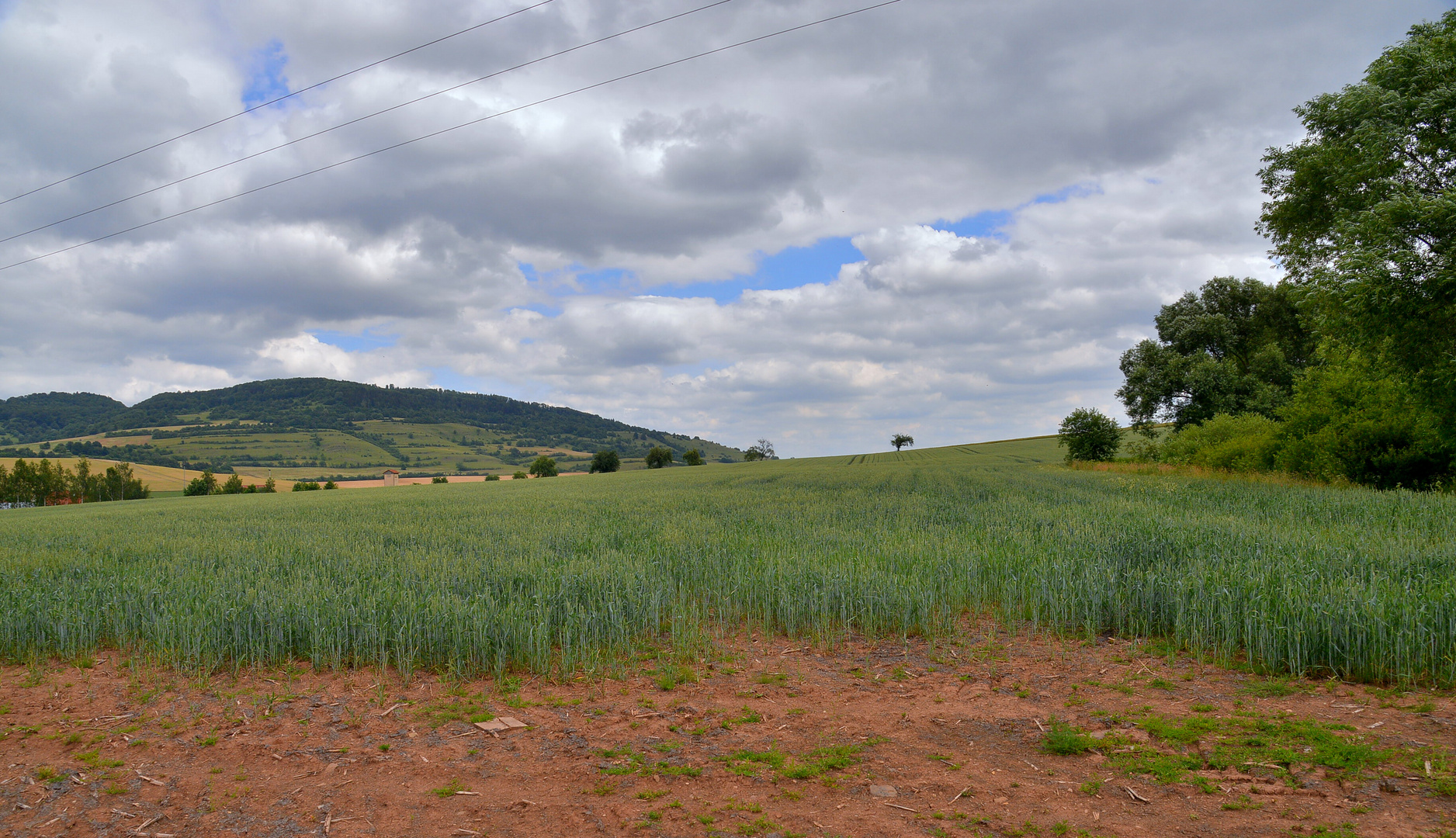 Feld (campo)