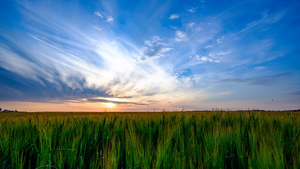 Feld Foto & Bild | landschaft, sonnenuntergänge, Äcker, felder & wiesen