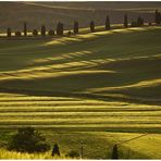 Feld der Träume