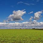 Feld der Windräder