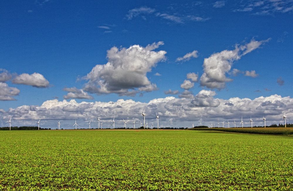 Feld der Windräder