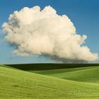 Feld des Weizens am sonnigen Sommertag