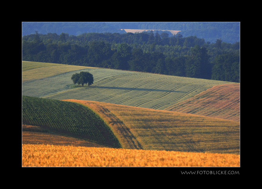 Feld Farben