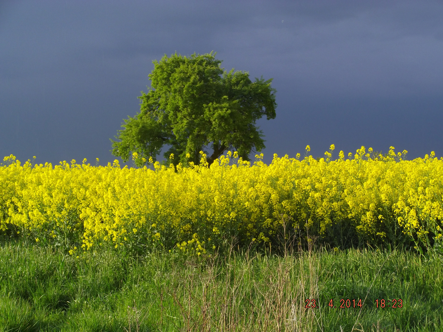 Feld hinter`m Haus