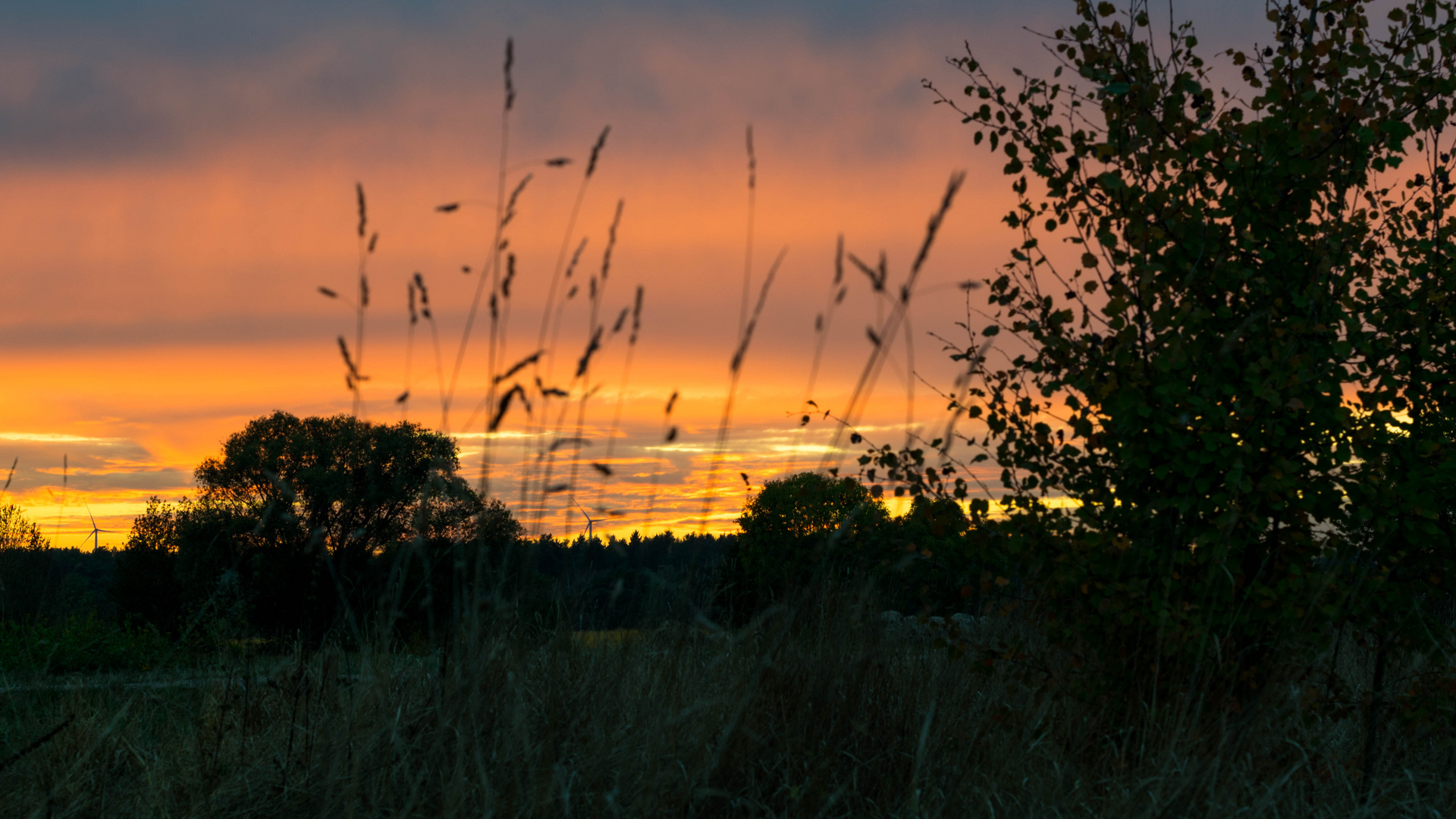 Feld Hinterm Haus beim Sonnenuntergang