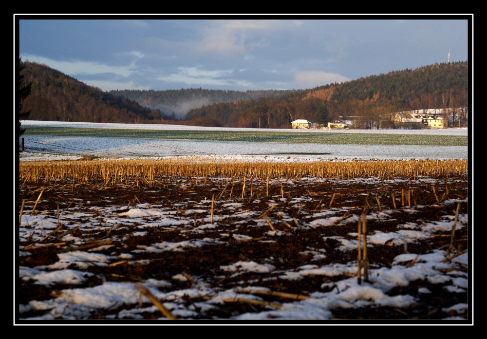 Feld im abendlichen Licht