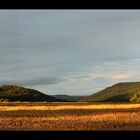 Feld im Abendlicht