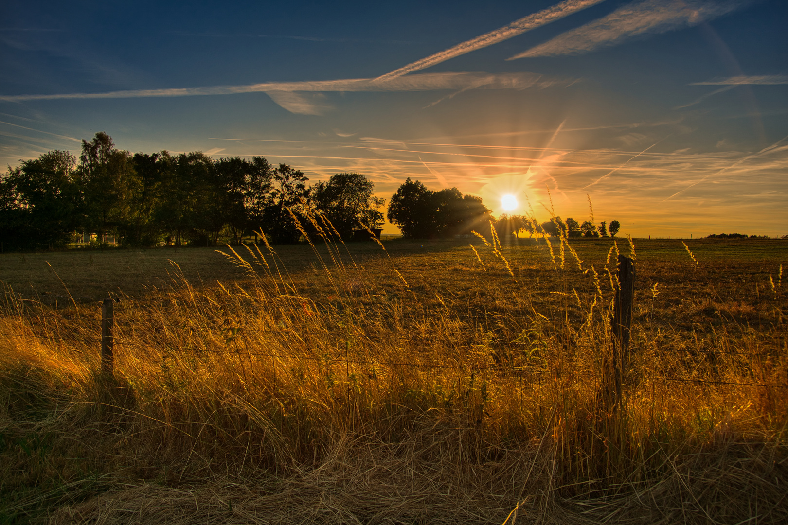 Feld im Abendlicht