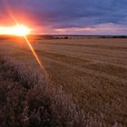 Feld im Abendrot