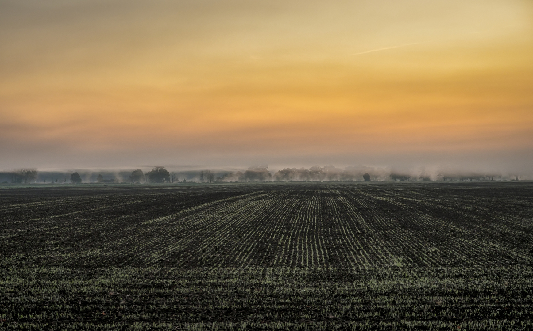 Feld im Amt Neuhaus bei Nebel