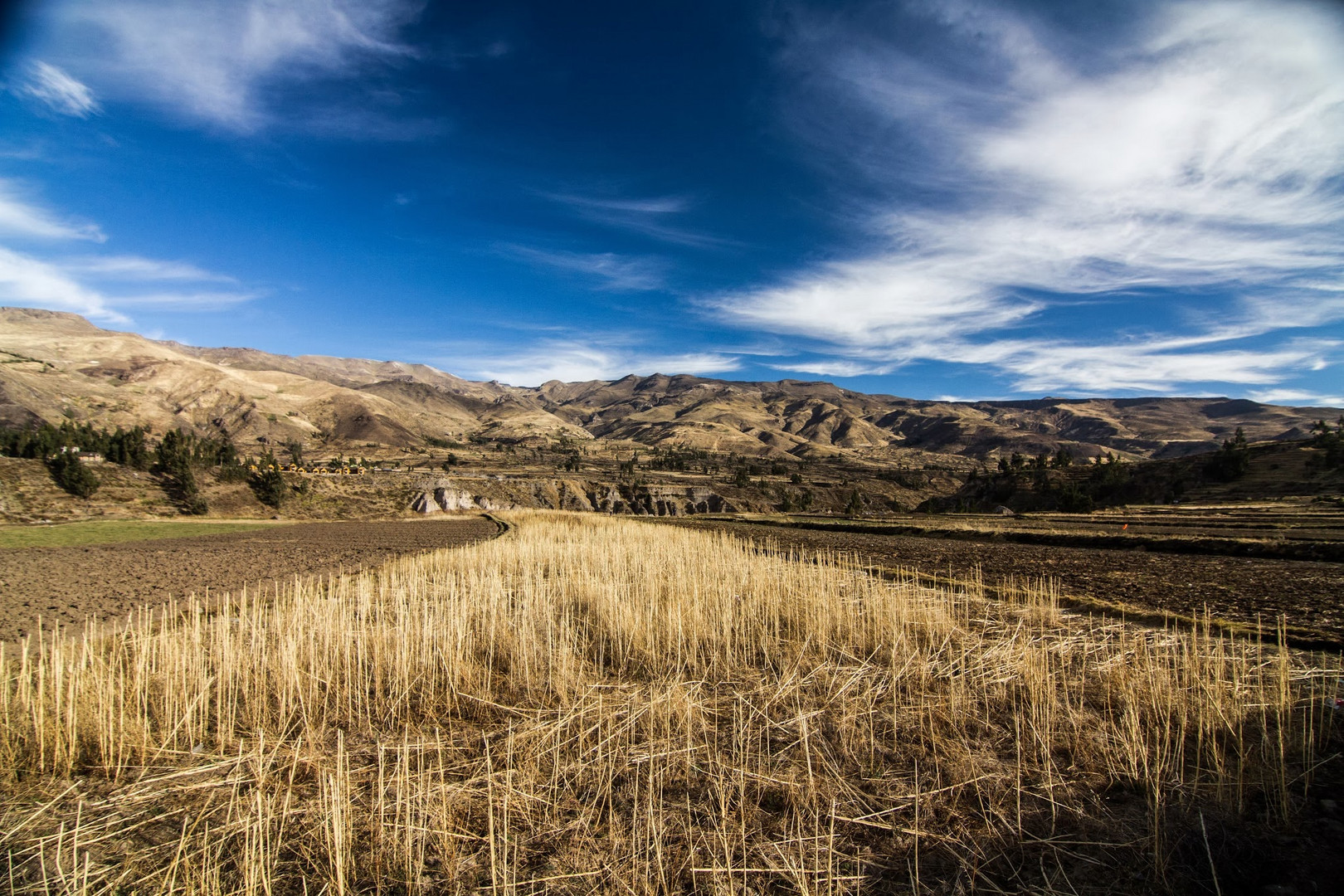 Feld im Colca-Cañón