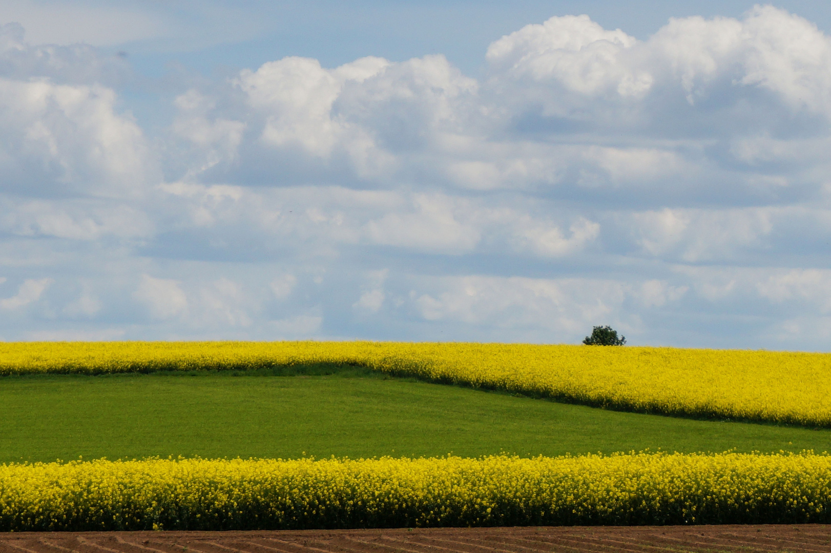 Feld im Feld