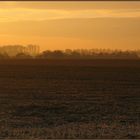 Feld im Herbst