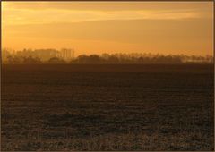 Feld im Herbst