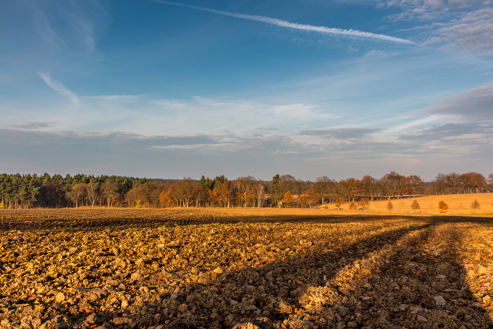 Feld im Herbst