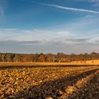 Feld im Herbst