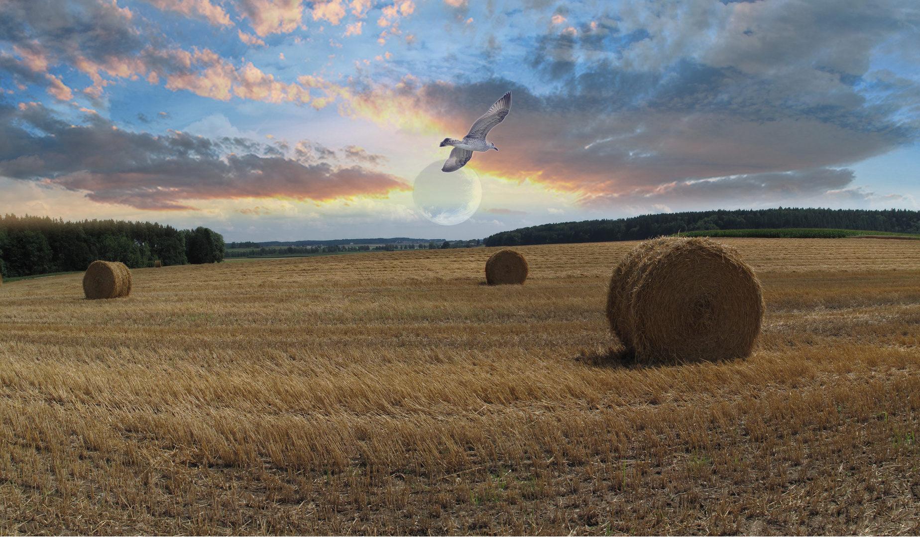 Feld im Herbst