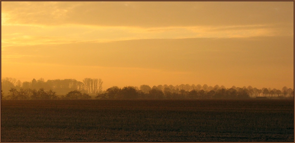 Feld im Herbst Nr.2