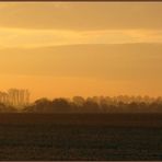 Feld im Herbst Nr.2