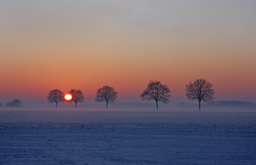 Feld im Januar