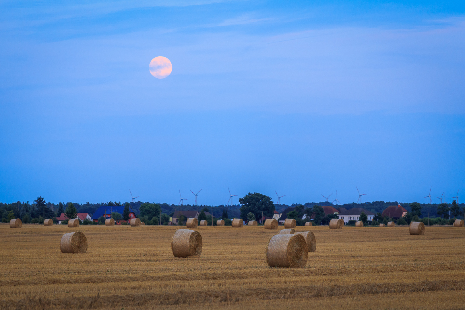 Feld im Mondschein ;-)