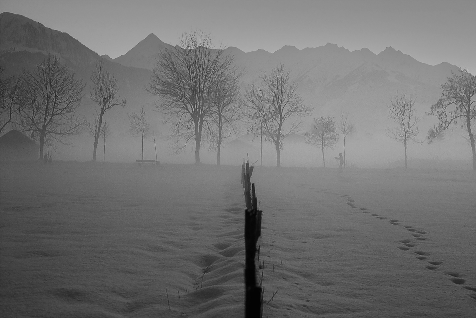 Feld im Nebel