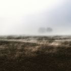 Feld im Nebel