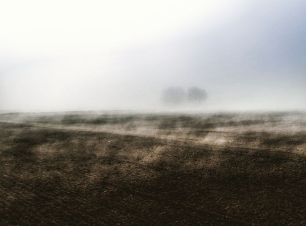 Feld im Nebel