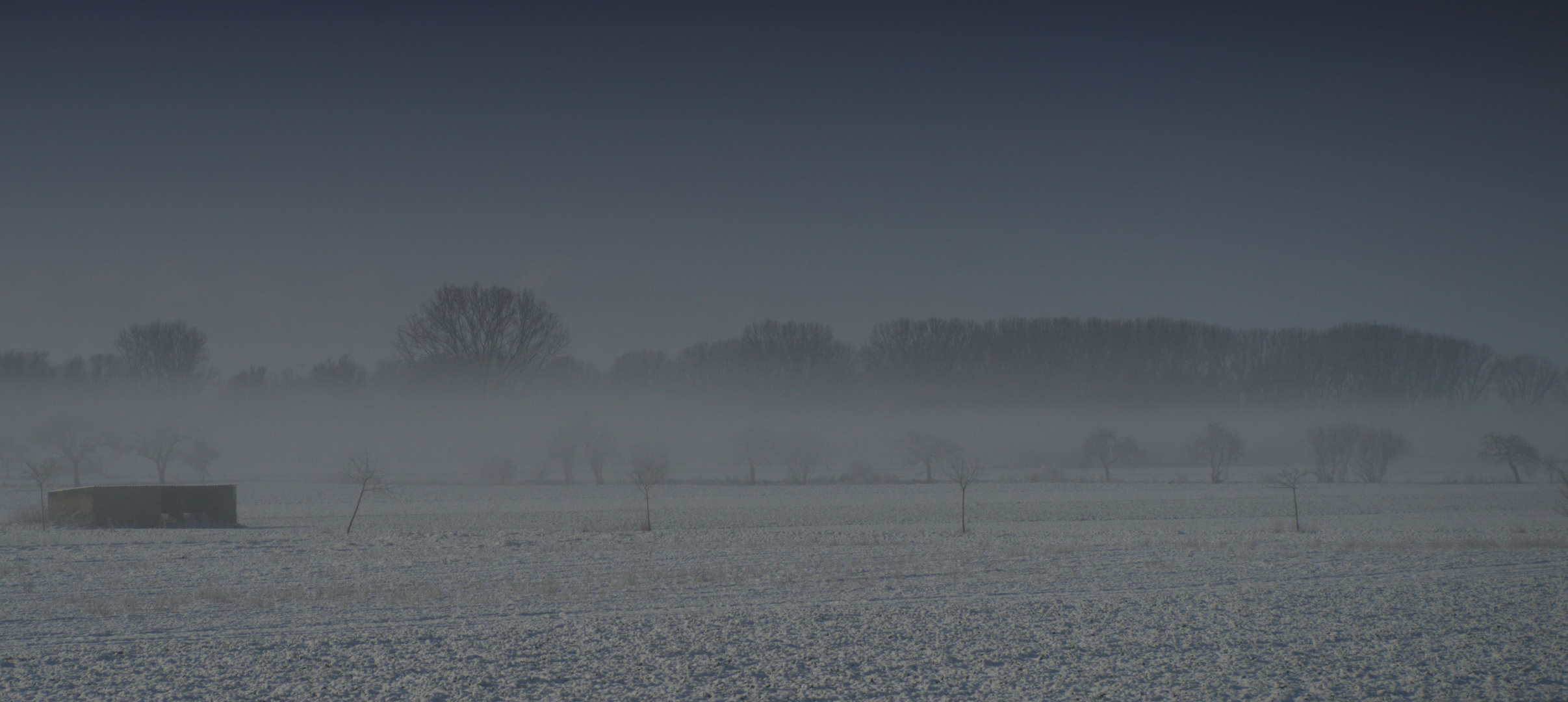 Feld im Nebel