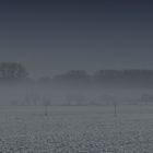 Feld im Nebel