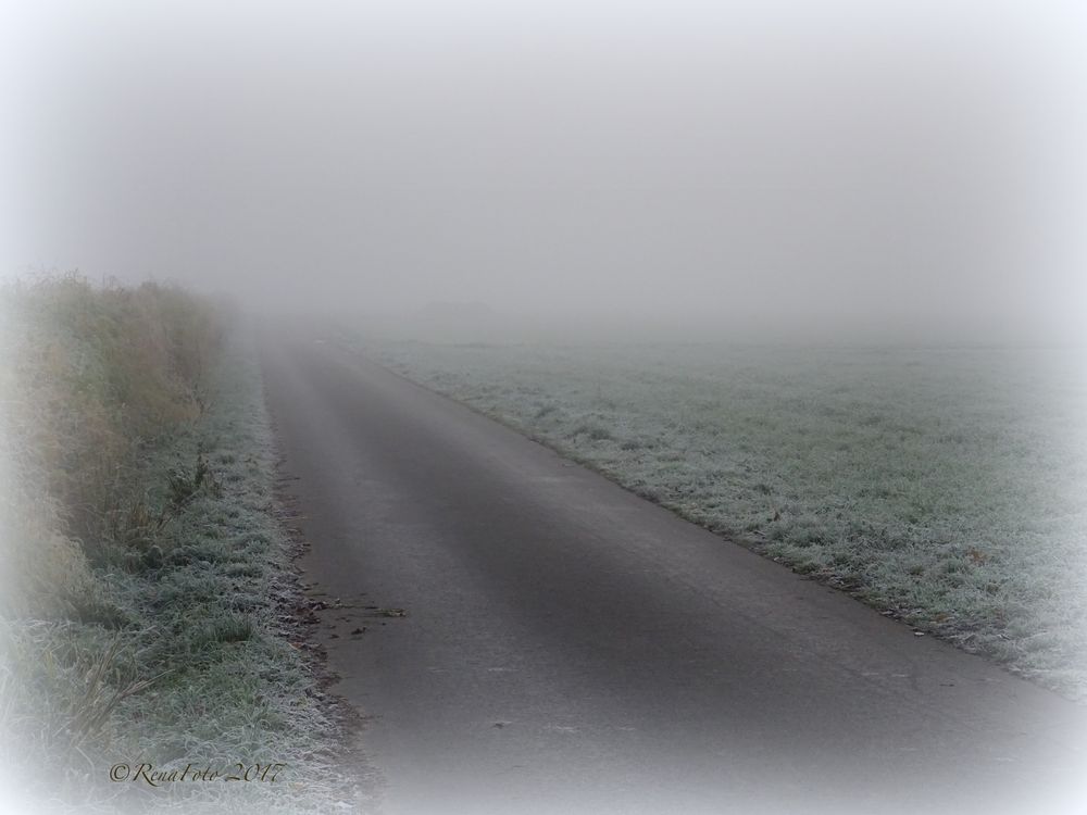 Feld im Nebel