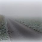 Feld im Nebel